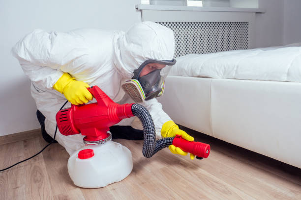 Pest Prevention Services in Ansonia, CT