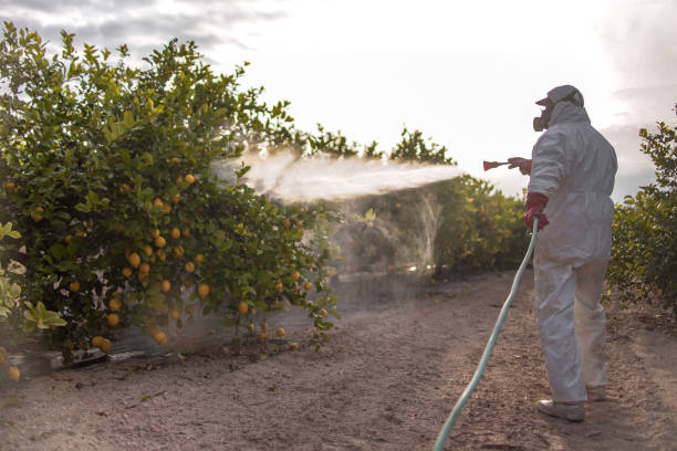Best Mosquito Control Services  in Ansonia, CT