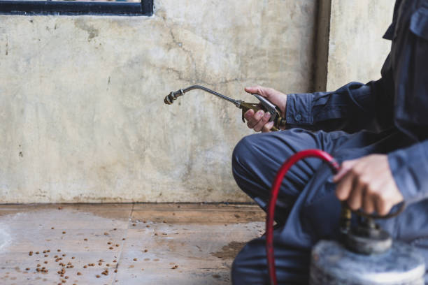 Best Pest Control Treatment  in Ansonia, CT